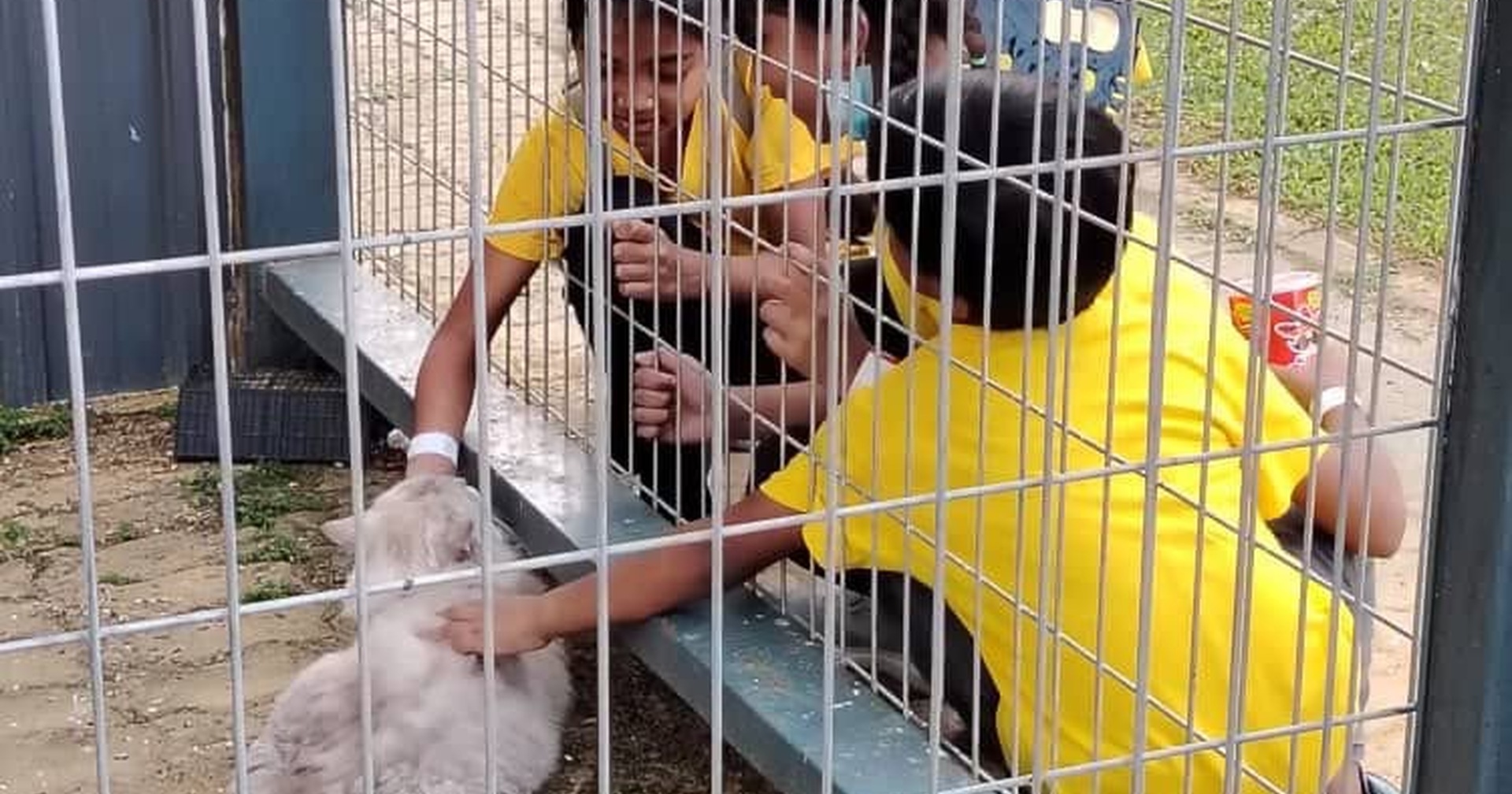 ๐พ A Day on the Farm, A Lifetime of Joy ๐พ