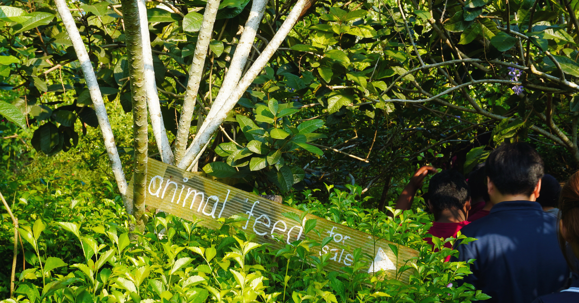 Visit to Kebun Bangsar on 24 March 2026 with children from Hiichikok Foundation sponsored by Lovns Cafe