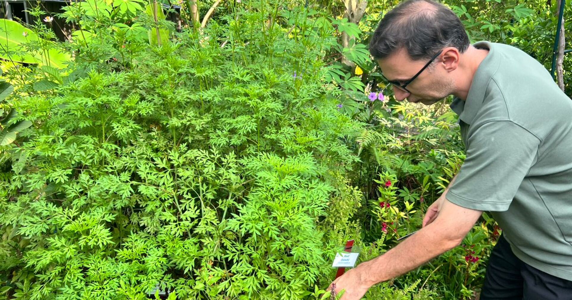 Back to Nature with Youth at Garden Spring, Cheras