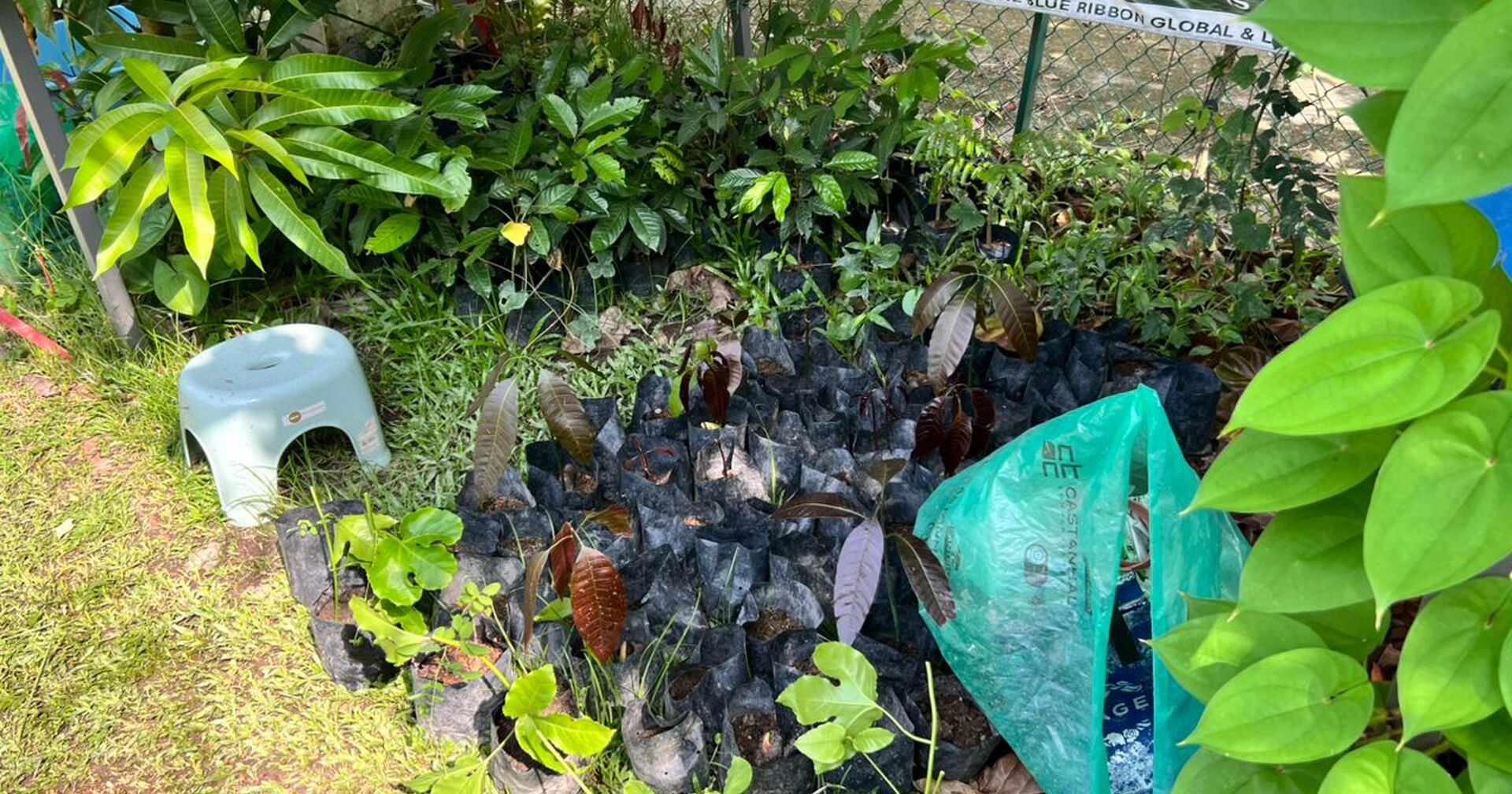Back to Nature with Youth at Garden Spring, Cheras