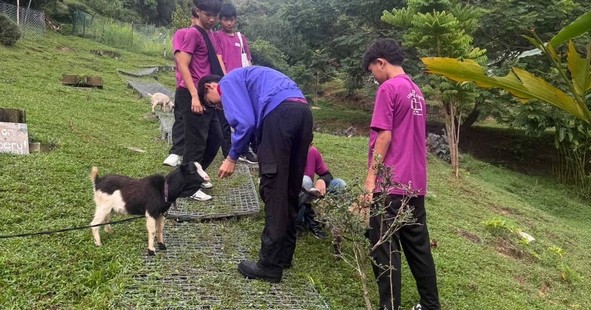 A day with nature