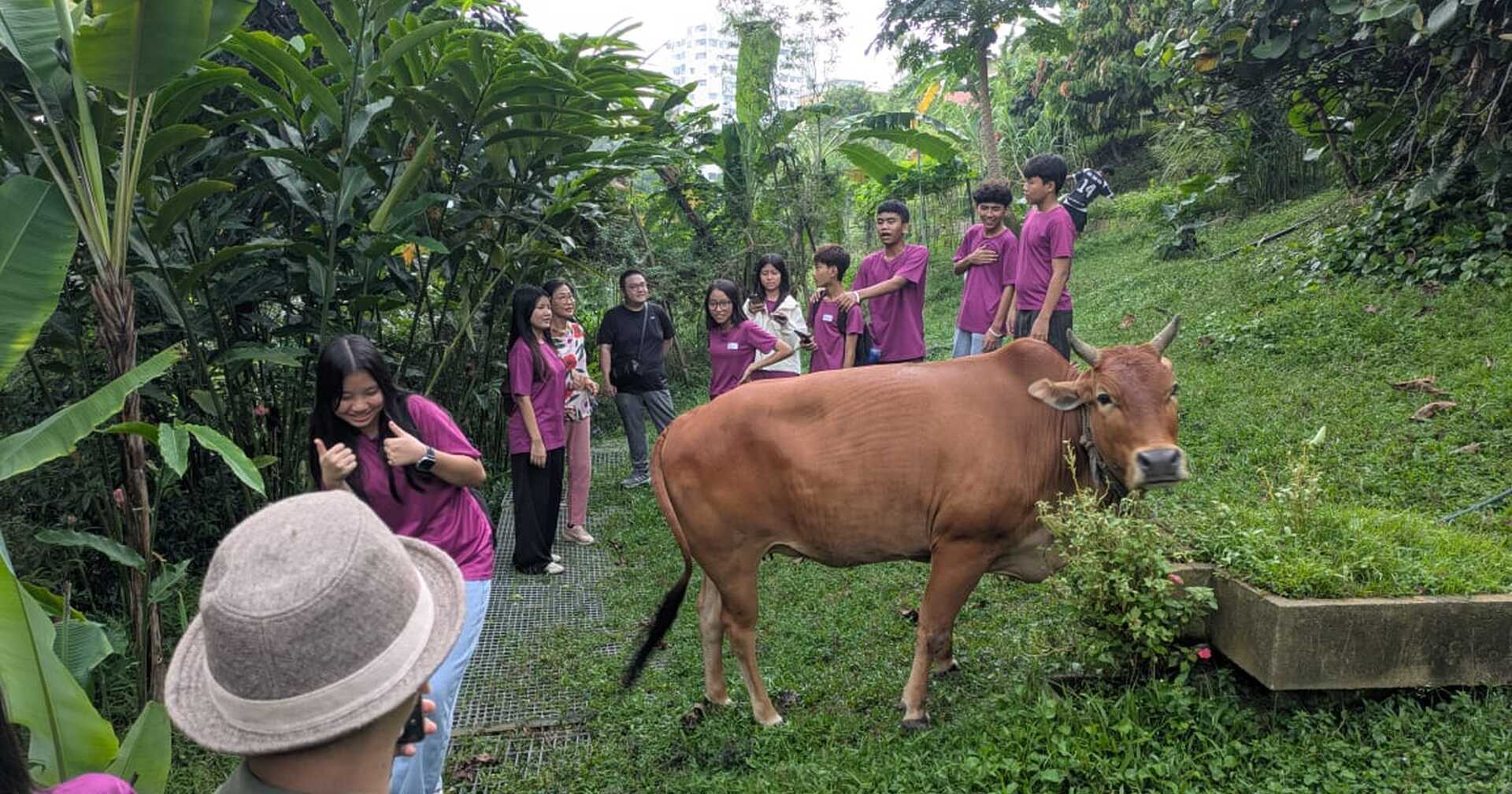 A day with nature